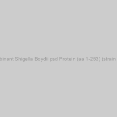 Image of Recombinant Shigella Boydii psd Protein (aa 1-253) (strain Sb227)